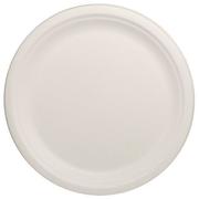 Karat Earth 10 in Round Bagasse Plates, PK500 KE-BPR10-1C